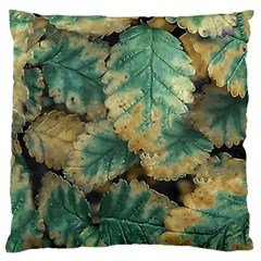 Colored Close Up Plants Leaves Pattern Large Cushion Case (one Side) by dflcprintsclothing