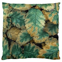 Colored Close Up Plants Leaves Pattern Standard Premium Plush Fleece Cushion Case (one Side) by dflcprintsclothing