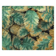 Colored Close Up Plants Leaves Pattern Premium Plush Fleece Blanket (small) by dflcprintsclothing