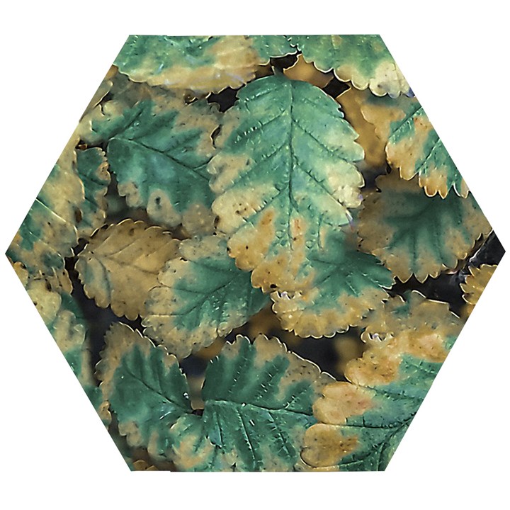 Colored Close Up Plants Leaves Pattern Wooden Puzzle Hexagon