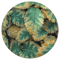 Colored Close Up Plants Leaves Pattern Round Trivet by dflcprintsclothing