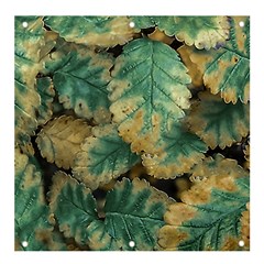 Colored Close Up Plants Leaves Pattern Banner And Sign 4  X 4  by dflcprintsclothing