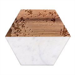 Fractal Math Abstract Mysterious Mystery Vortex Marble Wood Coaster (hexagon) 