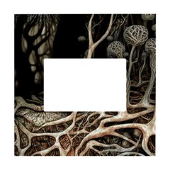 Tree Nature Landscape Forest White Box Photo Frame 4  X 6  by Ravend