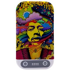 Psychedelic Rock Jimi Hendrix Sterilizers