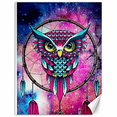 Owl Dreamcatcher Canvas 12  X 16 