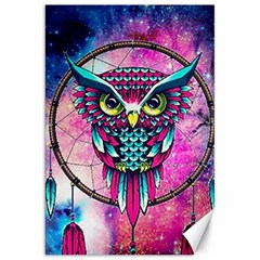 Owl Dreamcatcher Canvas 20  X 30 