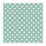 Light Blue And White Polka Dots Medium Glasses Cloth Front