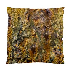 Rusty Orange Abstract Surface Standard Cushion Case (one Side) by dflcprintsclothing