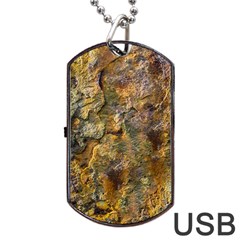 Rusty Orange Abstract Surface Dog Tag Usb Flash (two Sides) by dflcprintsclothing