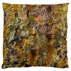 Rusty Orange Abstract Surface Large Cushion Case (two Sides) by dflcprintsclothing