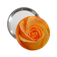 Flower Plant Rose Nature Garden Orange Macro 2 25  Handbag Mirrors by Ravend