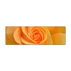 Flower Plant Rose Nature Garden Orange Macro Sticker (bumper) by Ravend