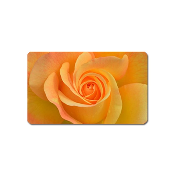 Flower Plant Rose Nature Garden Orange Macro Magnet (Name Card)