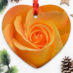 Flower Plant Rose Nature Garden Orange Macro Heart Ornament (two Sides) by Ravend