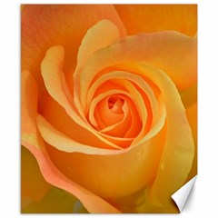 Flower Plant Rose Nature Garden Orange Macro Canvas 8  X 10  by Ravend