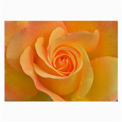 Flower Plant Rose Nature Garden Orange Macro Large Glasses Cloth (2 Sides) by Ravend