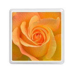 Flower Plant Rose Nature Garden Orange Macro Memory Card Reader (square) by Ravend