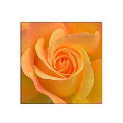 Flower Plant Rose Nature Garden Orange Macro Satin Bandana Scarf 22  X 22  by Ravend