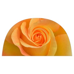 Flower Plant Rose Nature Garden Orange Macro Anti Scalding Pot Cap by Ravend