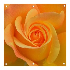 Flower Plant Rose Nature Garden Orange Macro Banner And Sign 3  X 3  by Ravend