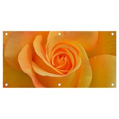 Flower Plant Rose Nature Garden Orange Macro Banner And Sign 4  X 2  by Ravend