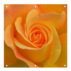 Flower Plant Rose Nature Garden Orange Macro Banner And Sign 4  X 4  by Ravend