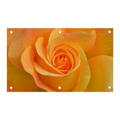 Flower Plant Rose Nature Garden Orange Macro Banner And Sign 5  X 3  by Ravend