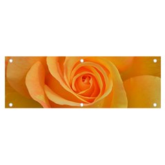 Flower Plant Rose Nature Garden Orange Macro Banner And Sign 6  X 2  by Ravend