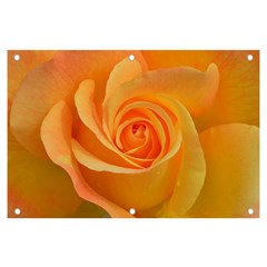 Flower Plant Rose Nature Garden Orange Macro Banner And Sign 6  X 4 