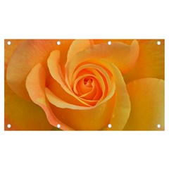 Flower Plant Rose Nature Garden Orange Macro Banner And Sign 7  X 4  by Ravend