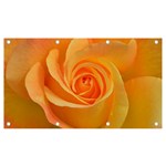 Flower Plant Rose Nature Garden Orange Macro Banner and Sign 7  x 4  Front