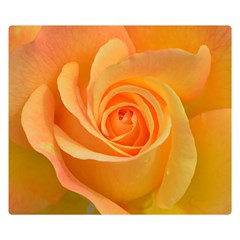 Flower Plant Rose Nature Garden Orange Macro One Side Premium Plush Fleece Blanket (small)