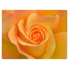 Flower Plant Rose Nature Garden Orange Macro One Side Premium Plush Fleece Blanket (extra Small) by Ravend