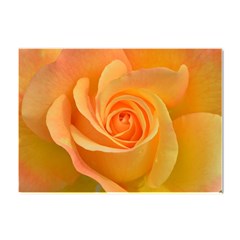 Flower Plant Rose Nature Garden Orange Macro Crystal Sticker (a4)