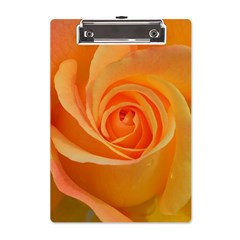 Flower Plant Rose Nature Garden Orange Macro A5 Acrylic Clipboard