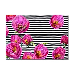 Pink Flowers Black Stripes Sticker A4 (10 Pack) by GardenOfOphir