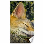 Fox Sleeping Closeup Photo Canvas 40  x 72  39.28 x69.23  Canvas - 1