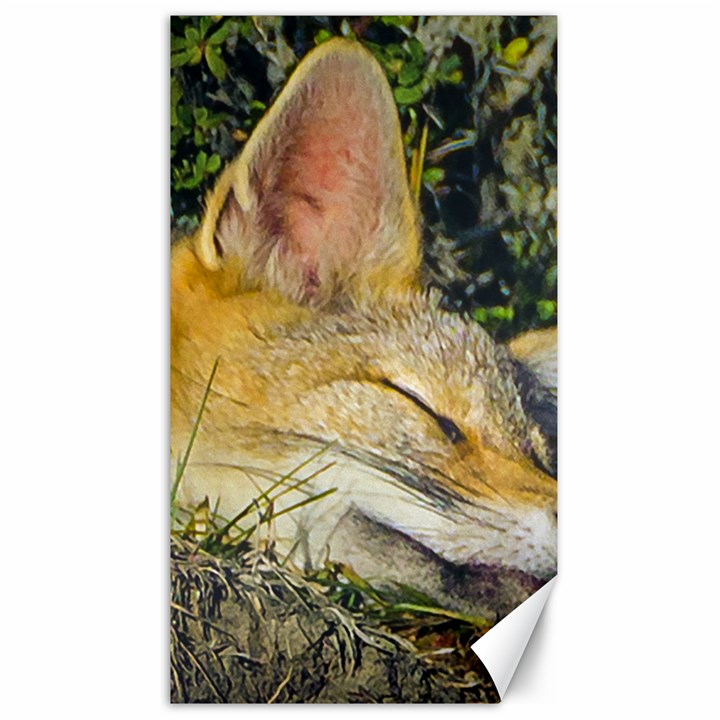 Fox Sleeping Closeup Photo Canvas 40  x 72 