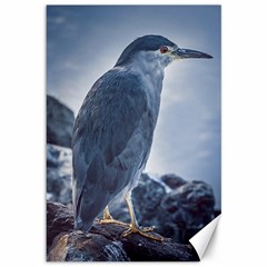 Bird At Border Of Biegle Channel, Ushuaia, Argentina Canvas 12  X 18  by dflcprintsclothing