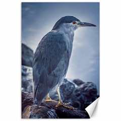 Bird At Border Of Biegle Channel, Ushuaia, Argentina Canvas 24  X 36  by dflcprintsclothing