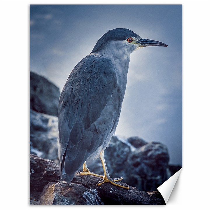 Bird At Border Of Biegle Channel, Ushuaia, Argentina Canvas 36  x 48 