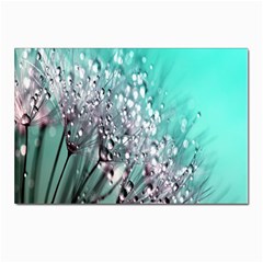 Dandelion Postcard 4 x 6  (pkg Of 10) by artworkshop