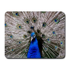 Peacock Bird Animal Feather Nature Colorful Small Mousepad by Ravend