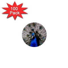 Peacock Bird Animal Feather Nature Colorful 1  Mini Buttons (100 Pack) 