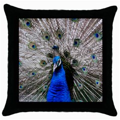 Peacock Bird Animal Feather Nature Colorful Throw Pillow Case (black) by Ravend