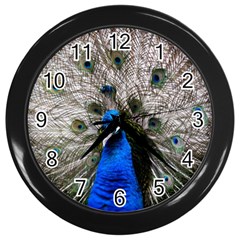 Peacock Bird Animal Feather Nature Colorful Wall Clock (black) by Ravend