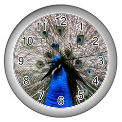 Peacock Bird Animal Feather Nature Colorful Wall Clock (silver) by Ravend