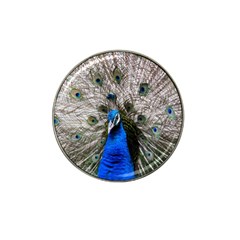 Peacock Bird Animal Feather Nature Colorful Hat Clip Ball Marker by Ravend