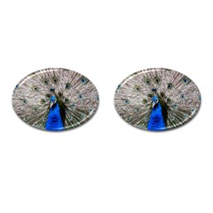 Peacock Bird Animal Feather Nature Colorful Cufflinks (oval) by Ravend